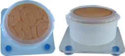 Training Model