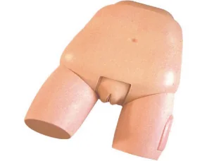 Advanced Model