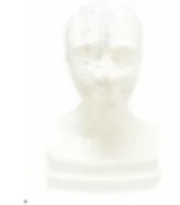 Acupuncture Model