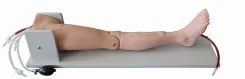 Pediatric Femoral Vein Puncture Operation Model