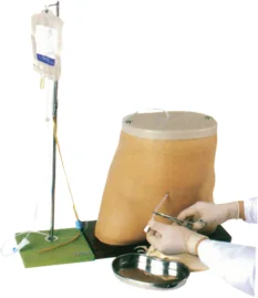 Clinical Surgery Skills Training Model - Item 17016
