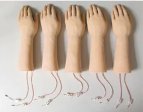 Venous Infusion Model