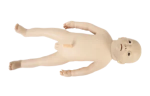 Advanced Newborn Nursing Model