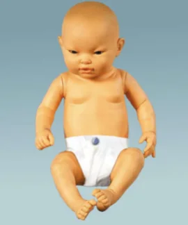 Intelligent Infant Model