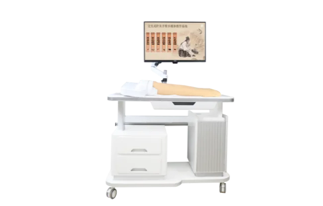 Meridian and Acupoint Visualization Multimedia Teaching System - Arm