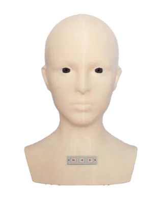 Advanced Eye Retina Model