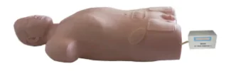 Central Venous Puncture and Injection Torso Model