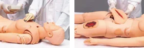 Advanced Adult Nursing Model