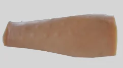 Intradermal Injection Model