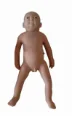 Advanced Infant Model