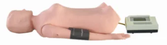 Abdominal Palpation Auscultation Manikin ( Arm )