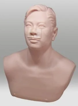 Maxillary Sinus Puncture Training Model