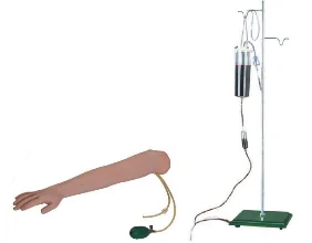 Advanced Arm Vein Puncture Intramuscular Injection Training Model