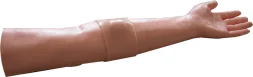Incision Model