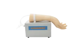 Artery Puncture Model