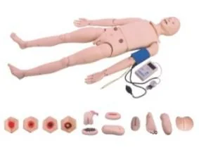 Full-Function Nursing Model