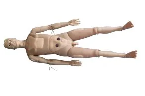 Nursing Model