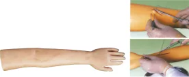 Advanced Surgical Suturing Arm Training Model