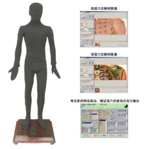 Multimedia Massage Electronic Model