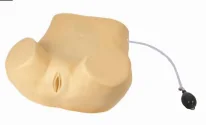 Palpation Training Model