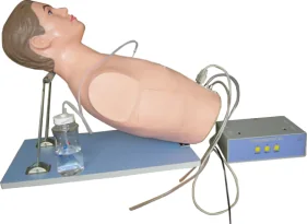 Electric Thoracic Puncture Training Model