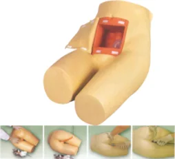 Advanced Enema Model