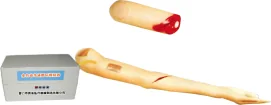 Arm Model