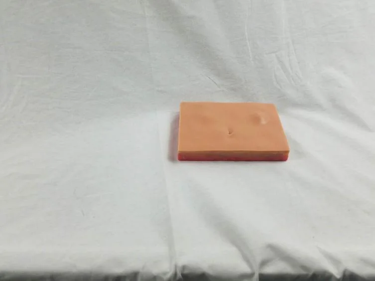 Clinical Surgery Skills Training Model - Item 17063