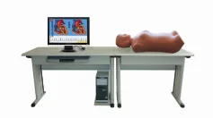 Network Multimedia Abdominal Examination Teaching System ( Teacher Unit )