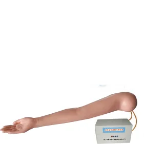 Artery Puncture Arm Model