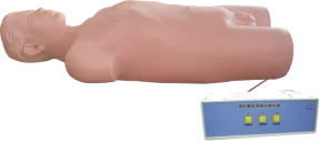 Clinical Surgery Skills Training Model - Item 17060