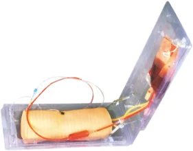 Advanced Elbow Vein Puncture Training Model