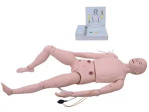 Nursing Skills Training Models