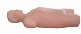 Training Model ( Half-Body )