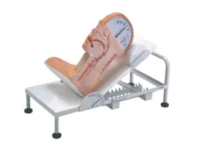 Advanced Model