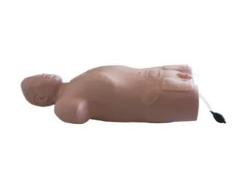 Central Venous Puncture and Injection Torso Model