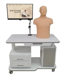 Meridian and Acupoint Visualization Multimedia Teaching System - Torso