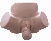 Advanced Midwifery Training Model