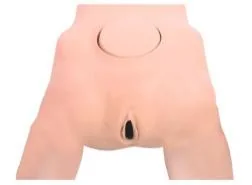 Pelvis Model