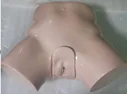 Advanced Female Catheterization Model