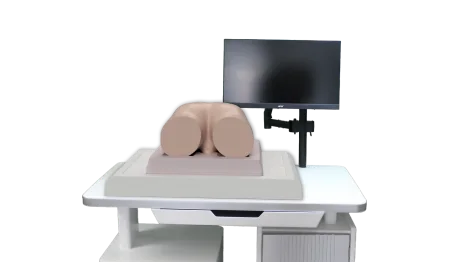 Interactive Acupuncture Hip Multimedia Teaching System