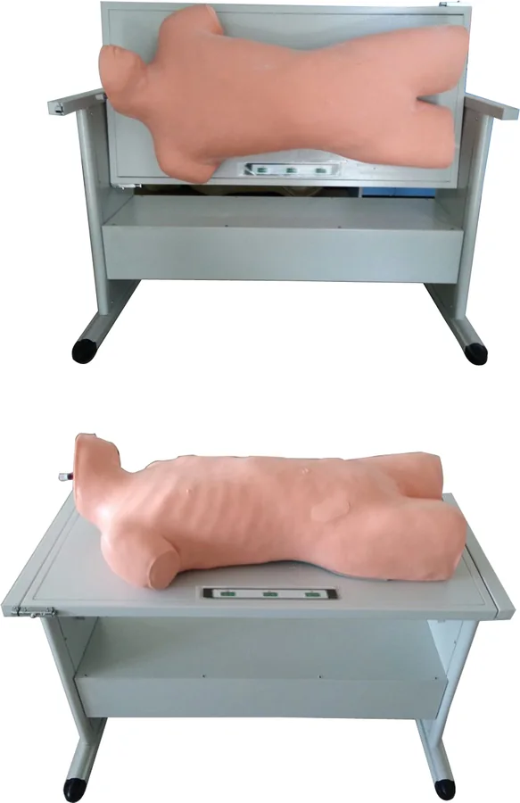 Puncture Training Models