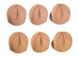 Obstetrics and Gynecology Training Model - Item 18014