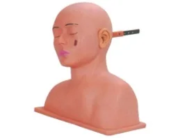Advanced Ear Model